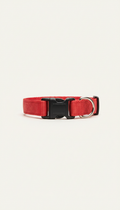 Bandana Red Clip Collar