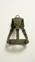 Moss Green Adventure Harness